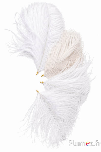 Ciondolo testa di struzzo - 17-20 cm - bianco-crema